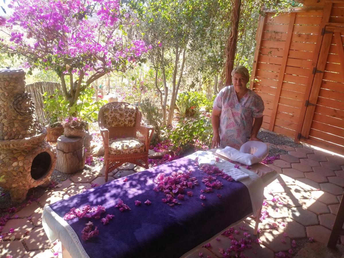 Hotel Vinofilia Valle de Guadalupe Esterno foto