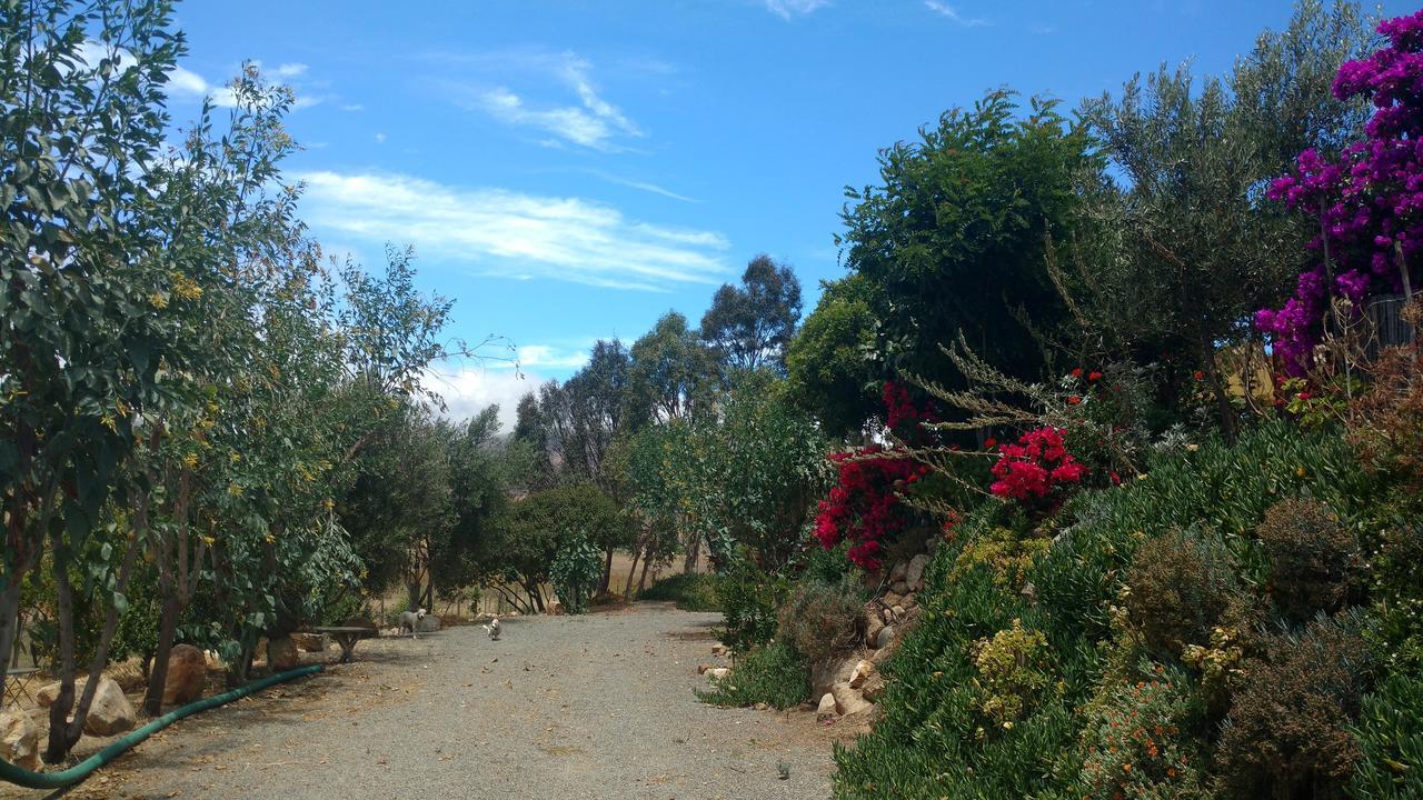 Hotel Vinofilia Valle de Guadalupe Esterno foto