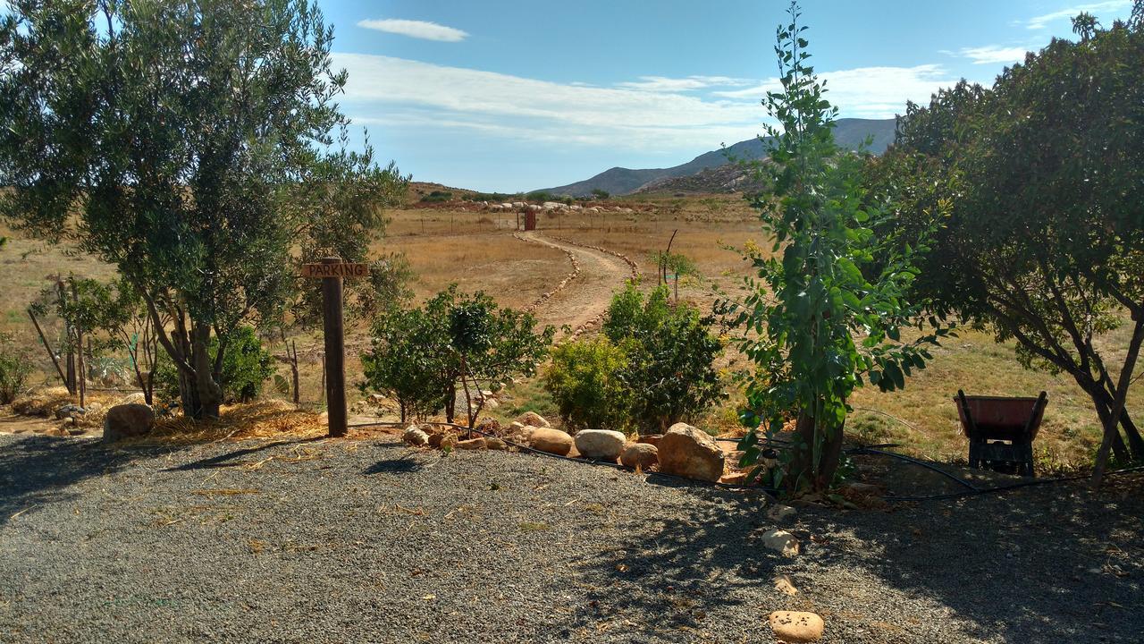 Hotel Vinofilia Valle de Guadalupe Esterno foto